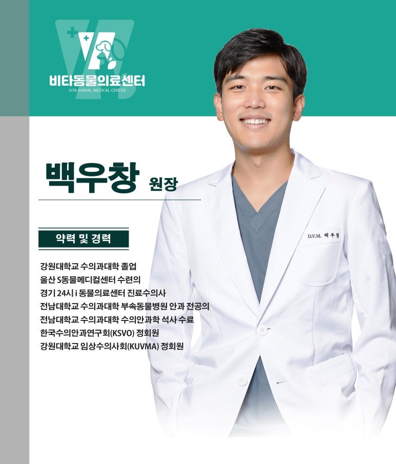 강아지 한쪽 눈 눈물, 광주 양동 동물병원 원인 진단 — 사진 2
