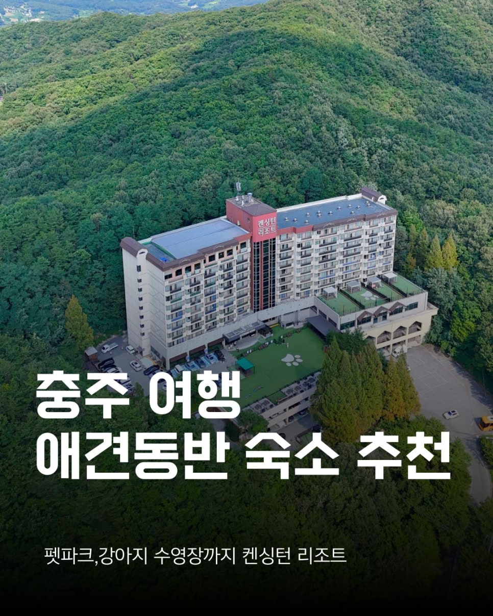 충주 켄싱턴리조트, 강아지 동반 완벽 힐링 여행 후기