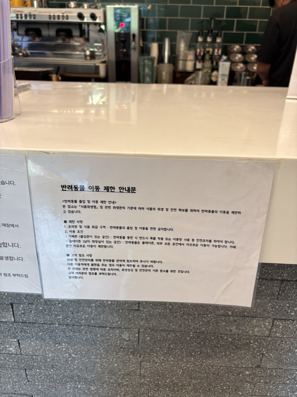 용인 근처 애견카페 유치원 호텔 티파니가든 — 사진 7