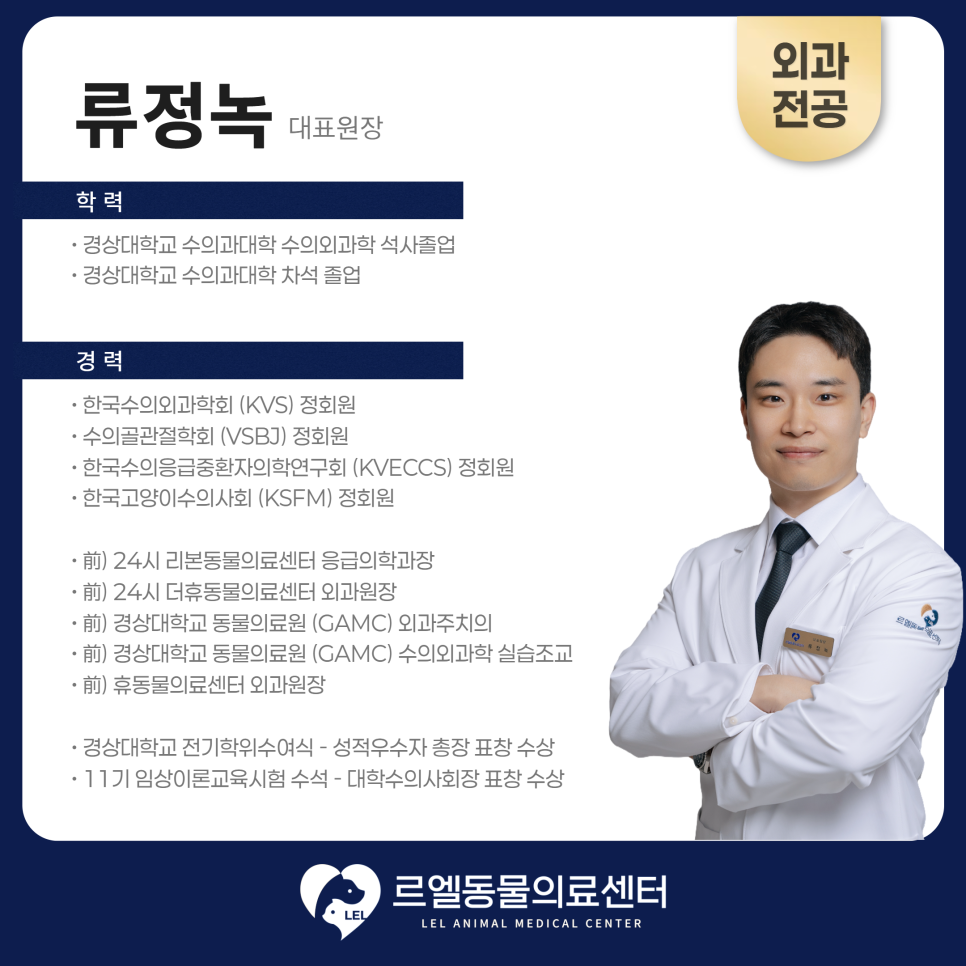 강아지 슬개골 탈구 3기 수술, 김해 24시 동물병원 사례 — 사진 2