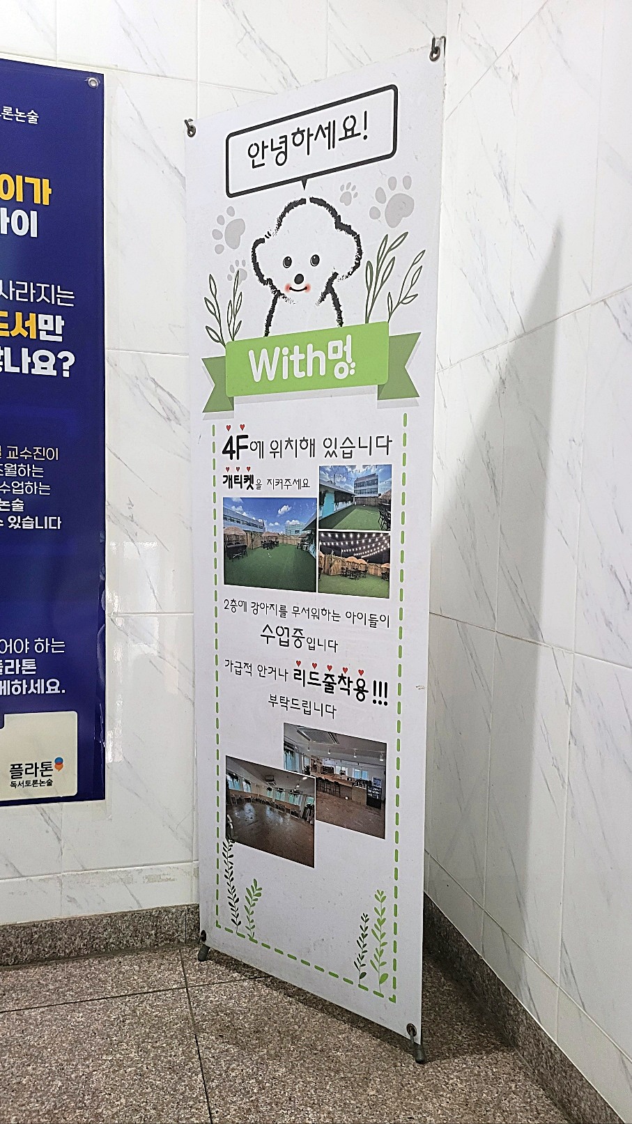 송파 애견카페 위드멍, 강아지 동반 방문 후기 — 사진 4