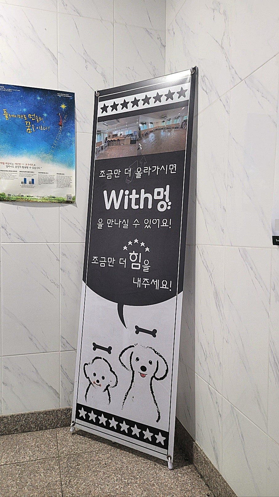 송파 애견카페 위드멍, 강아지 동반 방문 후기 — 사진 5