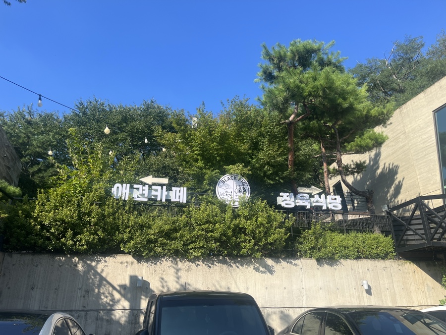 안산 애견 수영장 블랙피그, 솔직 후기 및 이용 정보