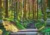 선선한 날씨를 즐길 수 있는 홋카이도 삿포로 오도리 공원