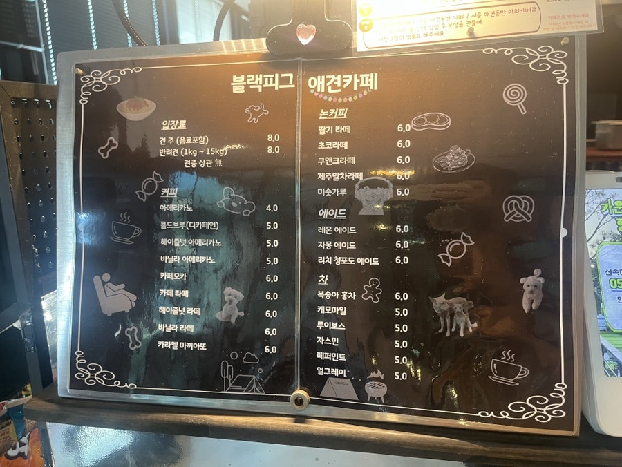 안산 애견 수영장 블랙피그, 솔직 후기 및 이용 정보 — 사진 3
