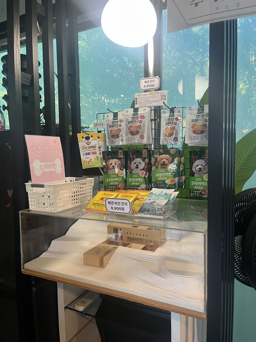 안산 애견 수영장 블랙피그, 솔직 후기 및 이용 정보 — 사진 5