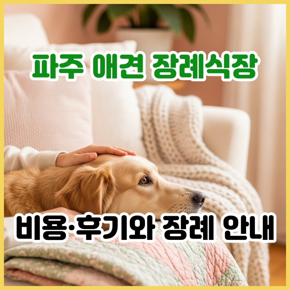 파주 강아지 장례식장 비용, 후기, 위치 정보