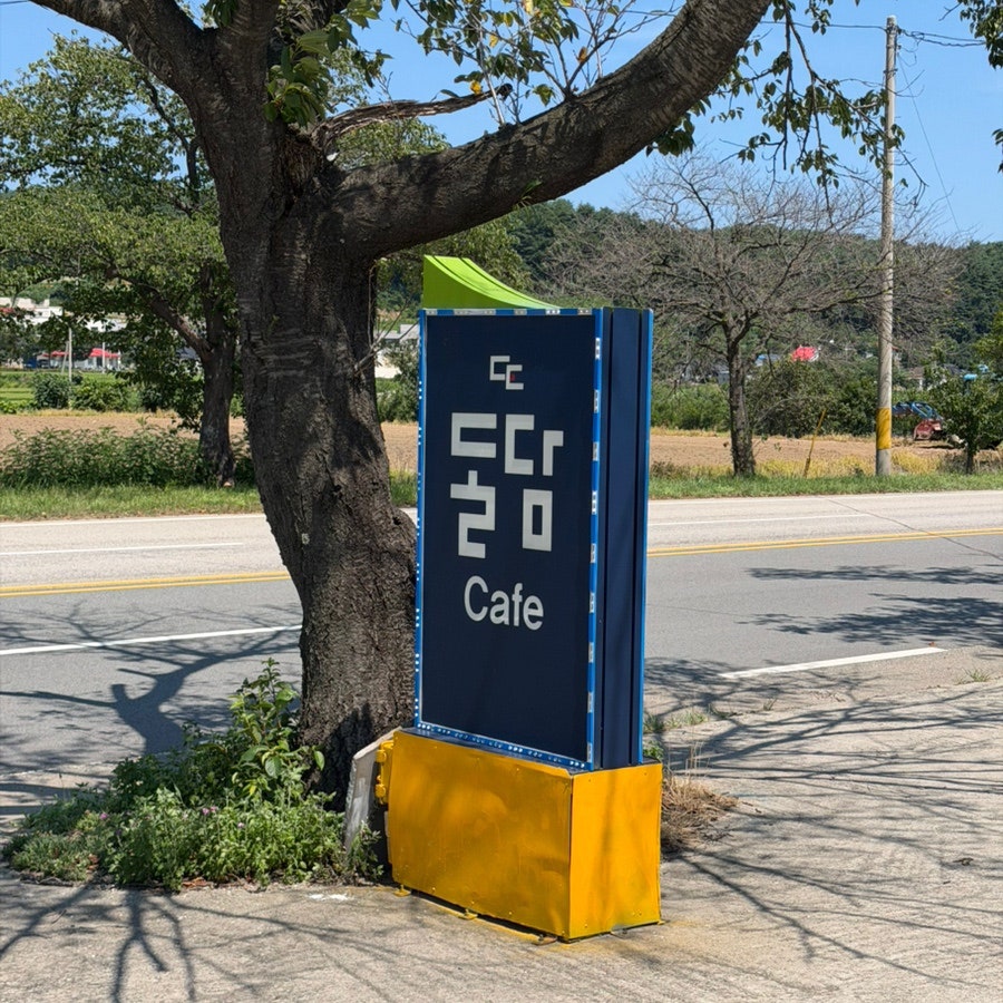 속초 설악 돌담카페: 강아지와 함께 자연 속 힐링