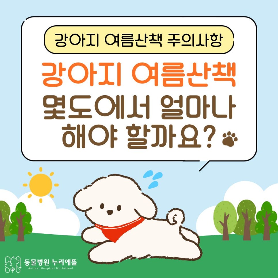 강아지 여름 산책 온도, 몇 도부터 위험할까? 안전 시간과 발바닥 화상 예방법