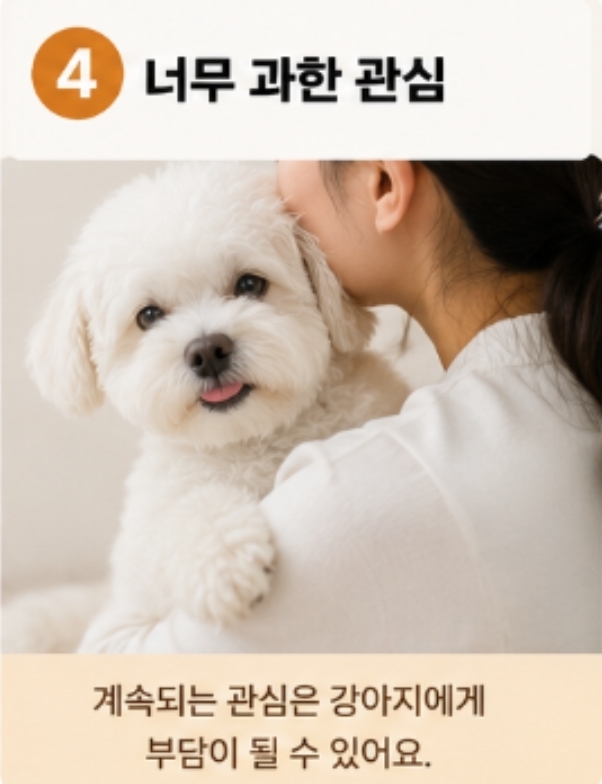 강아지가 갑자기 나를 피하는 이유 7가지 — 사진 8