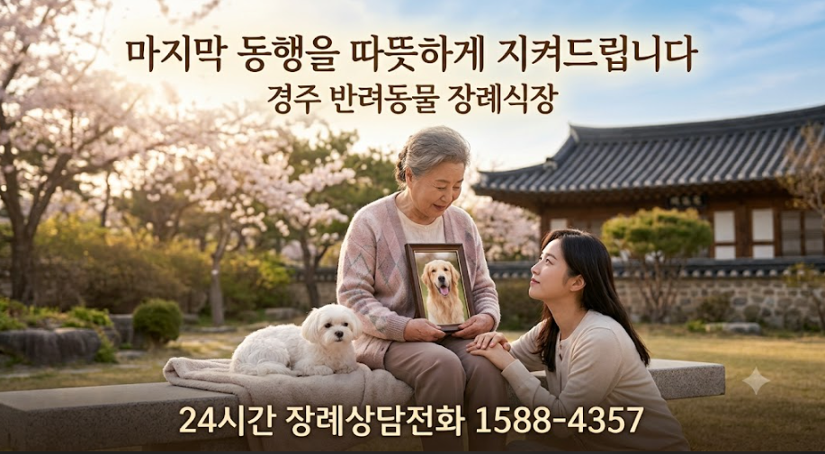경주 강아지 장례식장: 24시 픽업·비용·절차 완벽 안내
