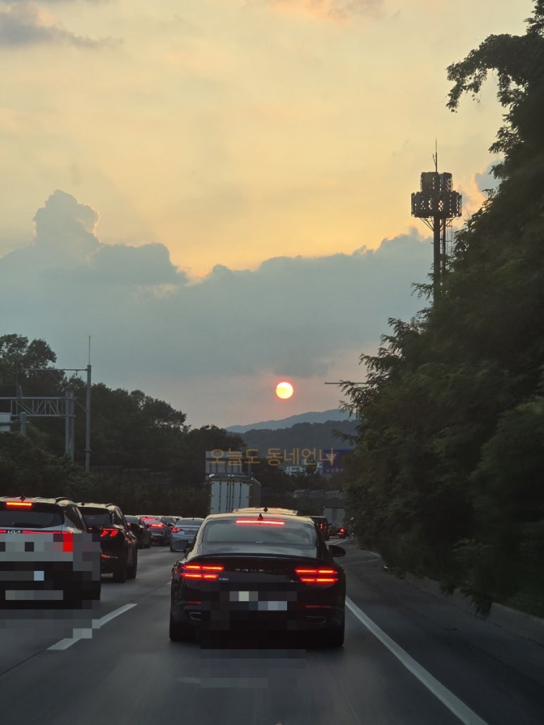 원조보리쌈밥집 사진 8