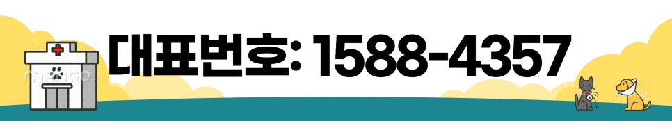 경주 강아지 장례식장: 24시 픽업·비용·절차 완벽 안내 — 사진 20