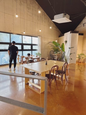 파니브아 사진 3