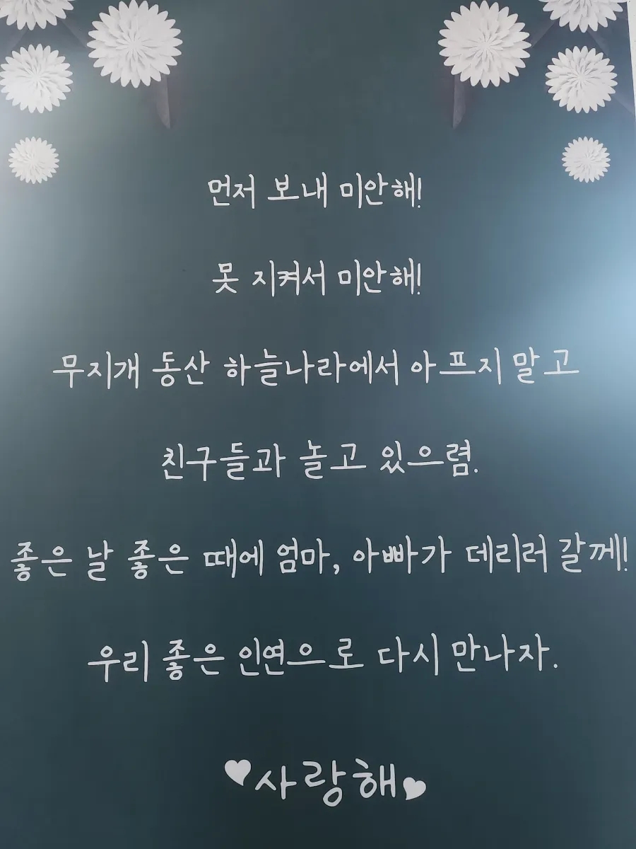 경주 강아지 장례식장: 24시 픽업·비용·절차 완벽 안내 — 사진 8