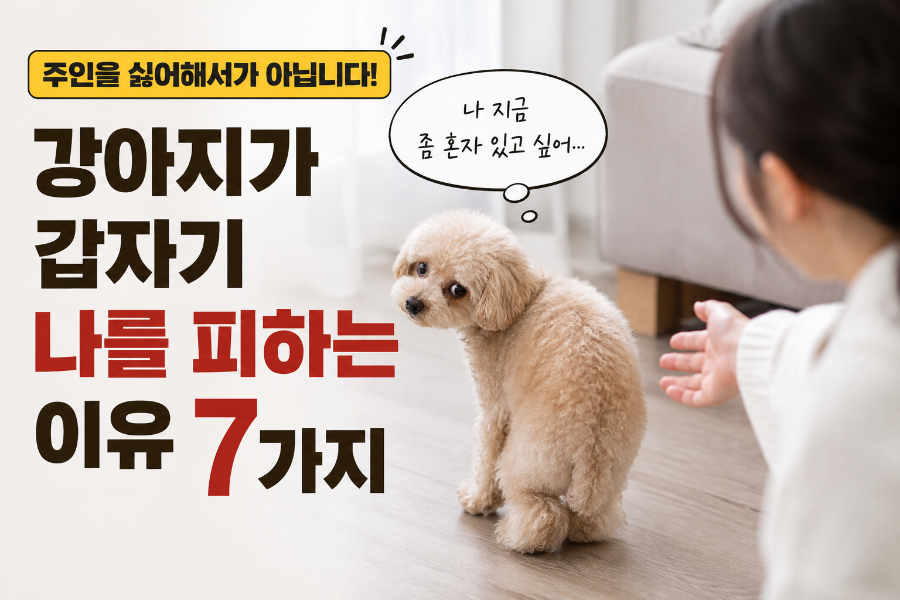 강아지가 갑자기 나를 피하는 이유 7가지