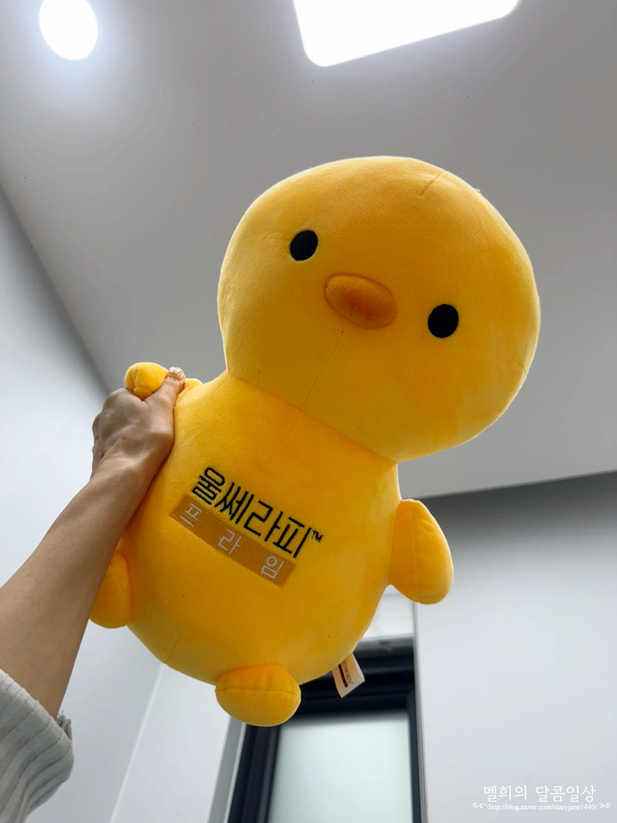 신상 스킨부스터 셀투오 내돈내산 후기! 리투오 + PRP 줄기세포 효과 요즘 다시 관심이 커진 이유 이미지 4