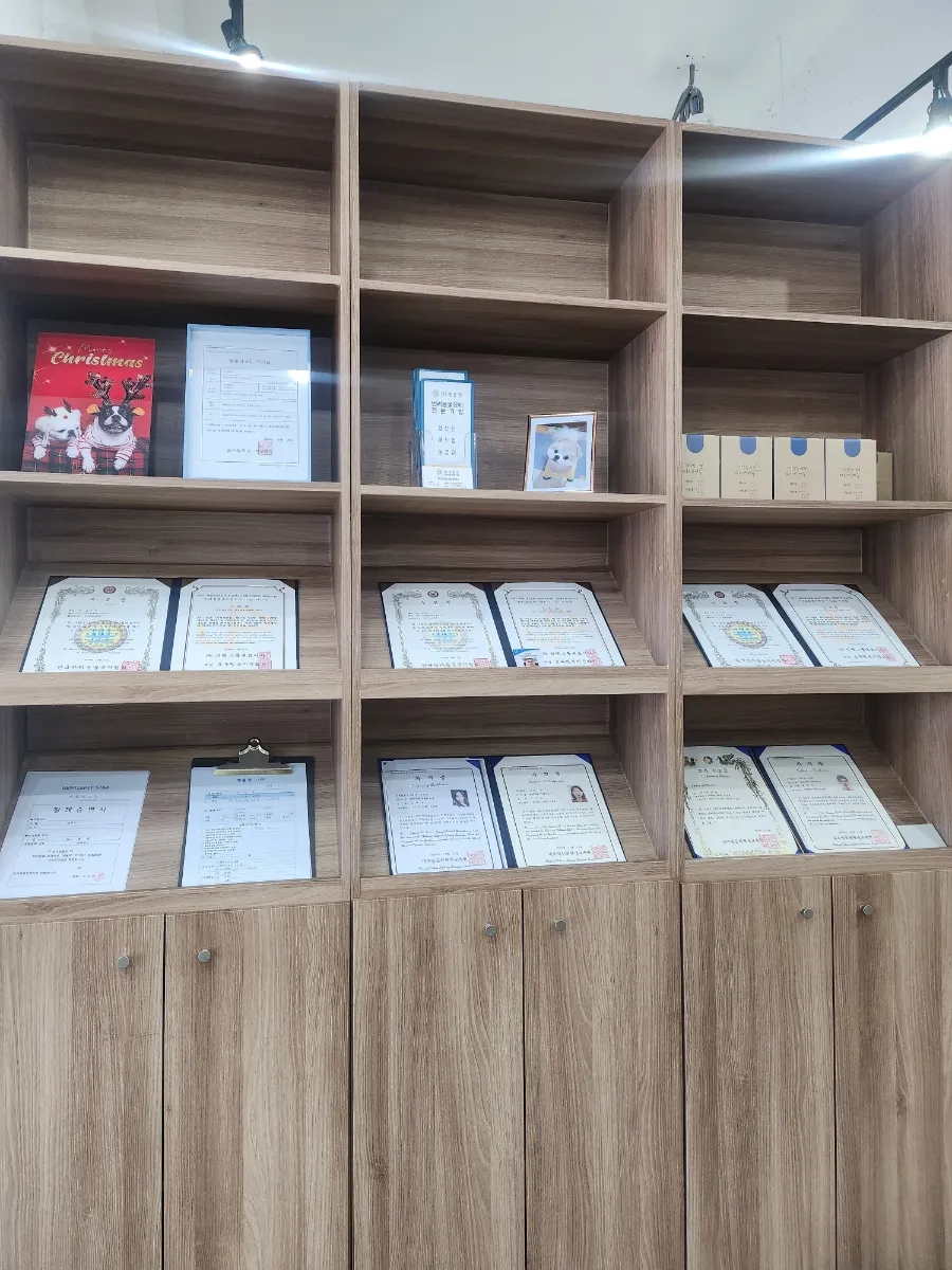 경주 강아지 장례식장: 24시 픽업·비용·절차 완벽 안내 — 사진 7