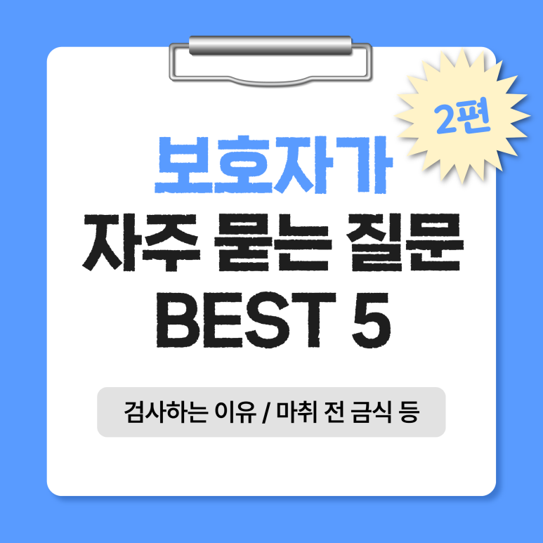 강아지 김해동물병원 궁금증 BEST 5: 마취 금식부터 피검사까지