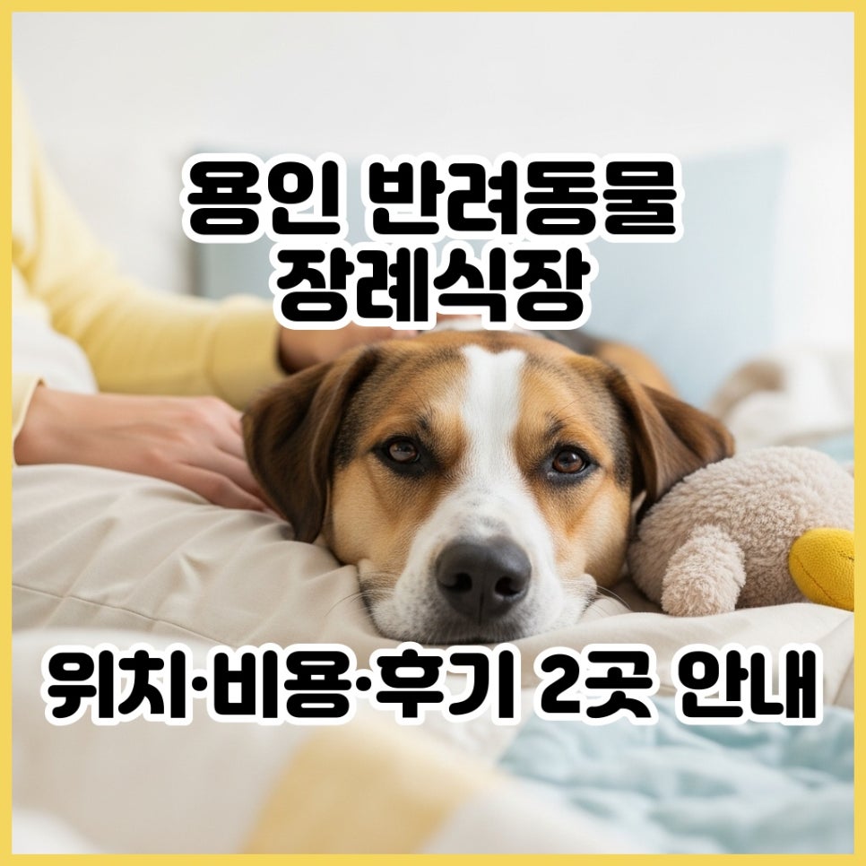 용인 강아지 장례식장 추천 2곳│비용, 후기, 위치