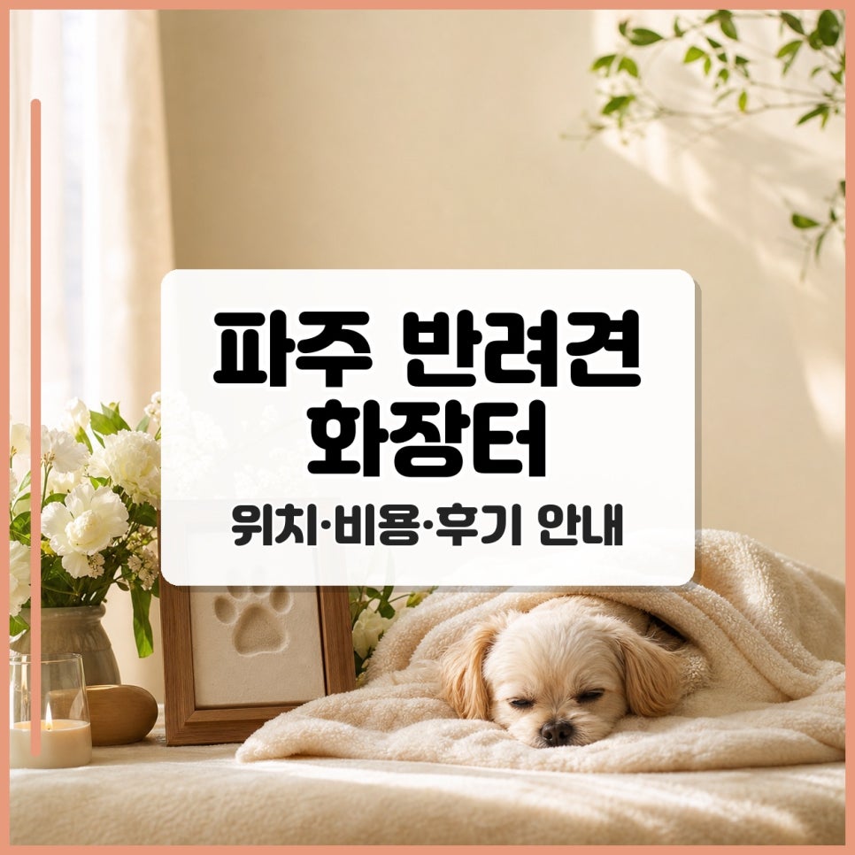 파주 강아지 장례식장 비용, 절차, 후기 완벽 정리