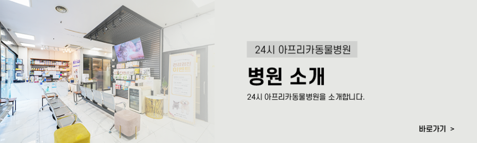 강아지 심장사상충 예방, 검사 없이 먹여도 될까? — 사진 9