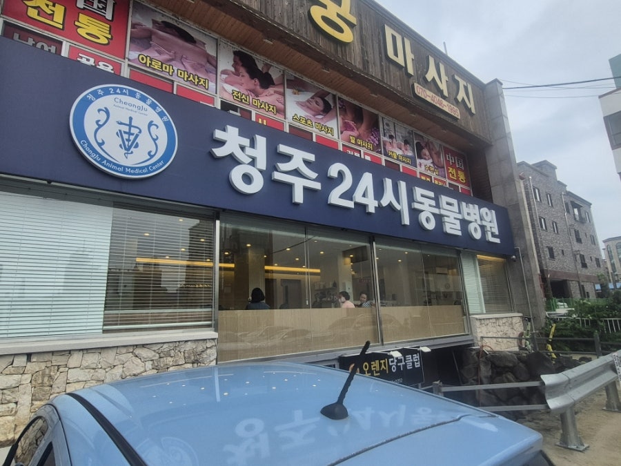 청주 펫소좀 2차 방문: 강아지 염증 및 난치 질환 치료 후기