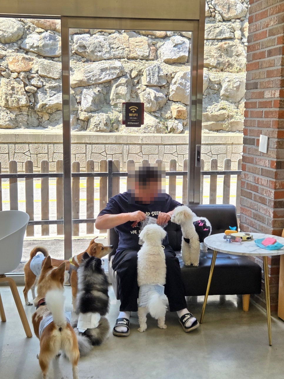 남양주 애견카페 영원이애견카페, 실내외 완벽 이용 후기 — 사진 10