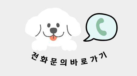 2살 강아지 십자인대 수술 후기: TPLO 성공 사례 — 사진 8