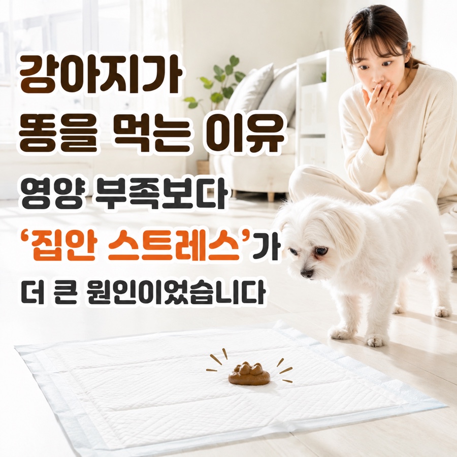 강아지 식분증, 스트레스와 환경이 원인일 수 있어요