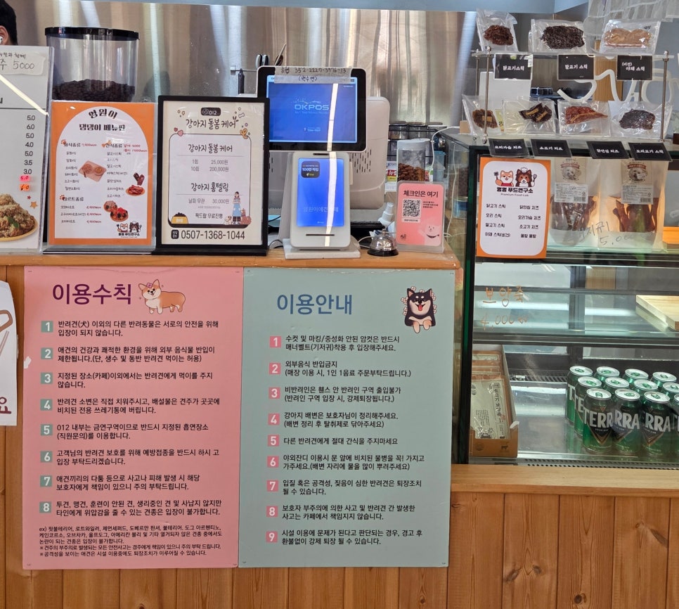 남양주 애견카페 영원이애견카페, 실내외 완벽 이용 후기 — 사진 4