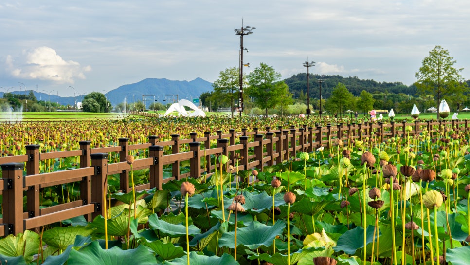 돌깨마을 맷돌순두부 오천점 사진 3