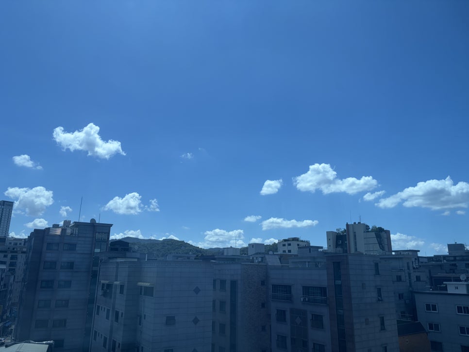 신조짬뽕 사진 6