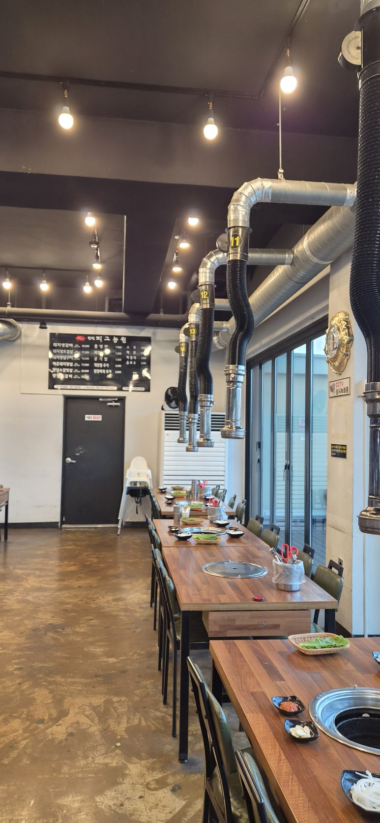피그농원 사진 7