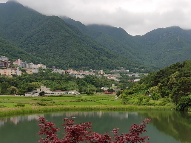 본흑염소능이삼계탕 선릉점 사진 3