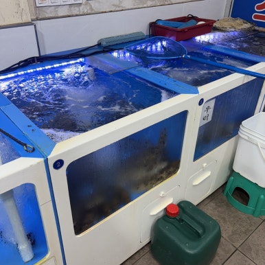 옛날마차 광명점 사진 5