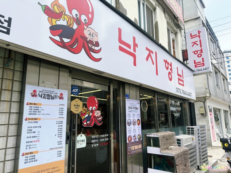 낙지형님 사진 7