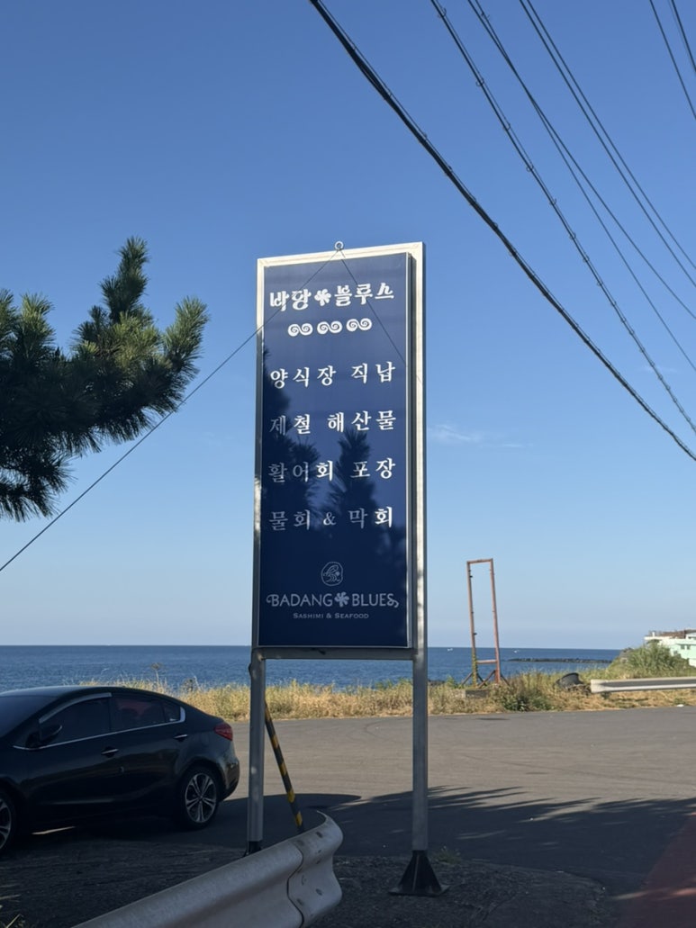 바당블루스 사진 6