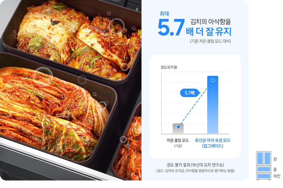 1등급 김치냉장고 삼성 비스포크 RK70F49M1A 및 RK70F49M1ZG 색상 차이