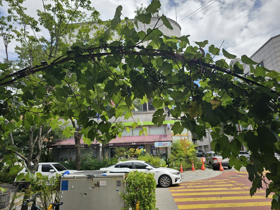 💚[경기 안산] 가심비 좋은 안산 밥집, 시골 밥상💚 : 네이버 블로그
