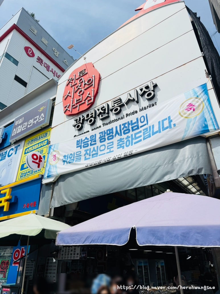 원조광명할머니빈대떡 사진 6