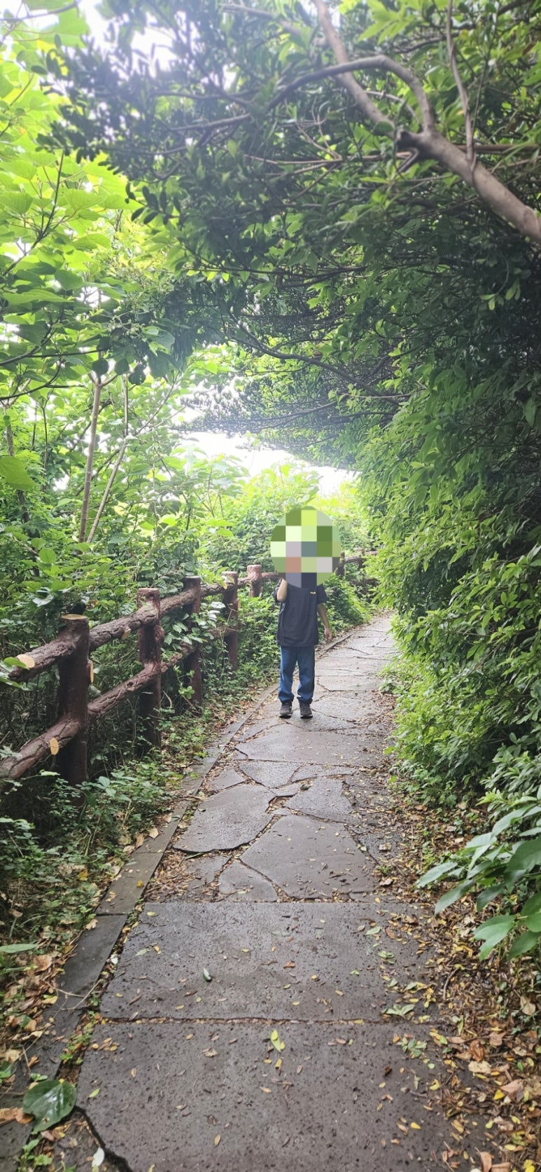 제주어향원 사진 4