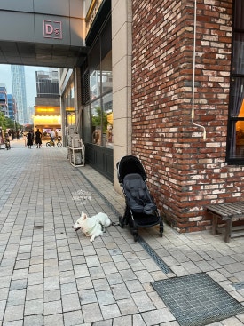 석암생소금구이 송도타임스페이스점 사진 6