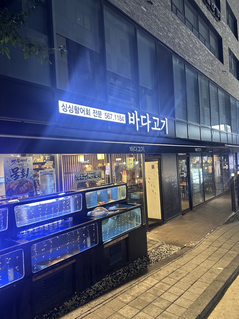바다고기 사진 6