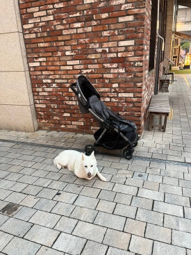 석암생소금구이 송도타임스페이스점 사진 8