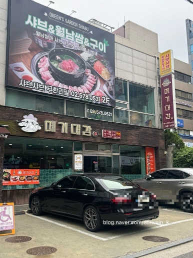 메기대감 사진 8