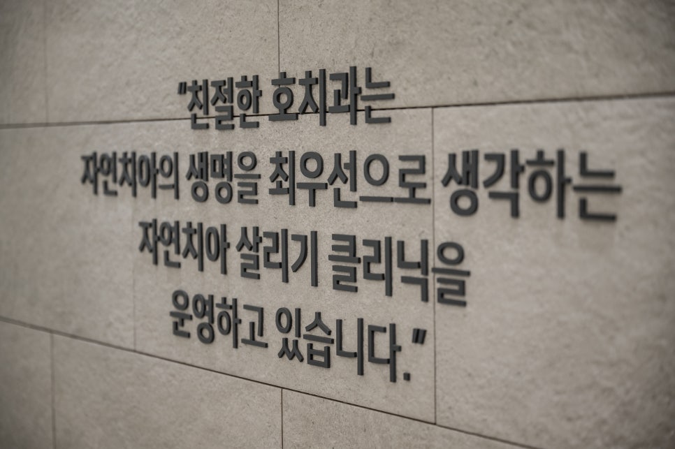 상동역치과 야간진료 저녁 일곱 시가 넘어야 오실 수 있다면