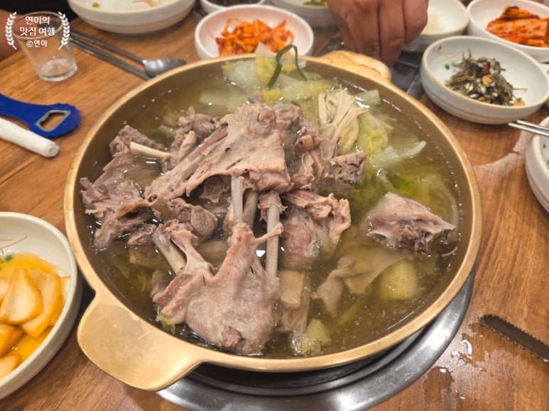 또오리 사진 7