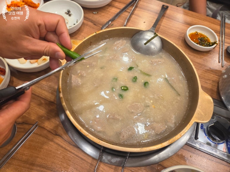 또오리 사진 8