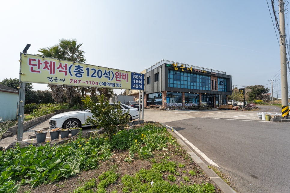 검은여흑돼지 사진 6